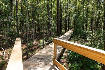 Nature trails